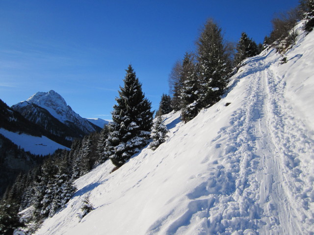 zwischen Ebenaualm und Durachalm (31. Dez.)