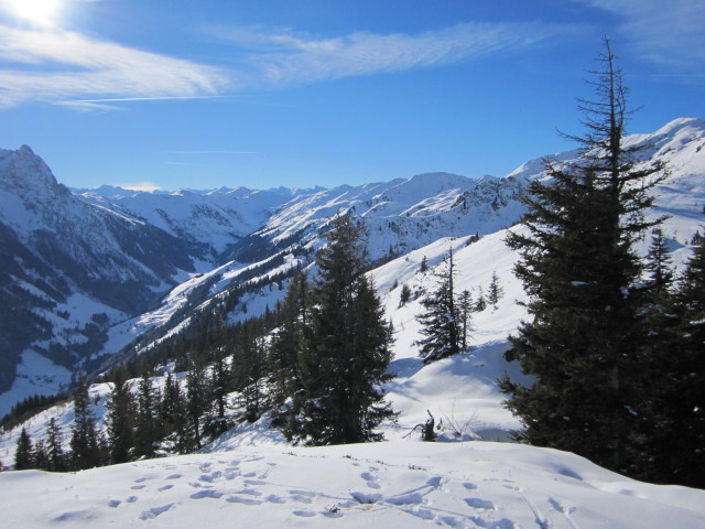 Unterer Grund vom Duracher Kogel aus (31. Dez.)