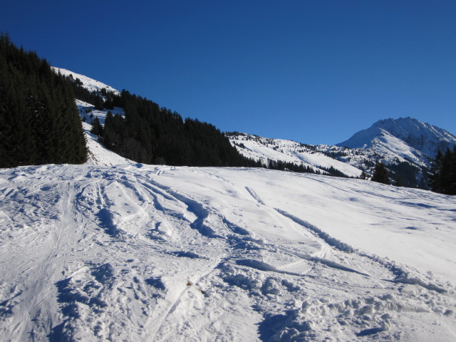 zwischen Seewaldalm und Kleinmoosalm (1. Jän.)