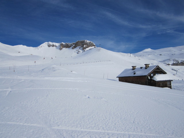 Viehb&uuml;helabfahrt (16. J&auml;n.)