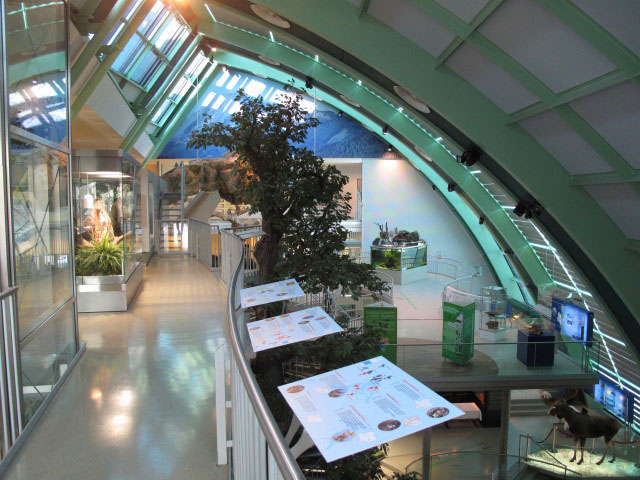 Landesmuseum Nieder&ouml;sterreich