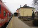 REX 1614 im Bahnhof Böheimkirchen