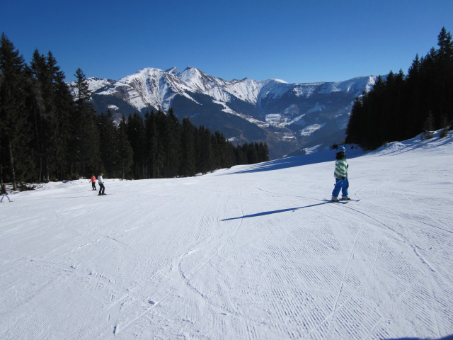 Familienabfahrt Hochalm - Heimalm