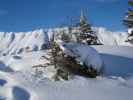 bei der Bergstation der Ski-Schaukel Falken