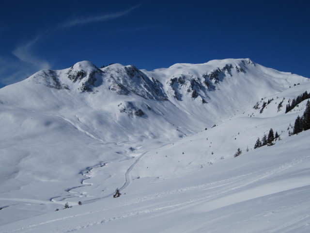 Oberdamülser Alpe von der Abfahrt Sonnenheim aus