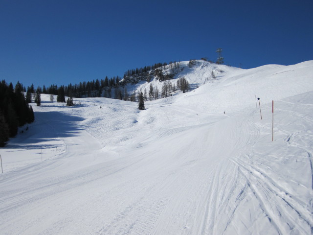 Sch&ouml;nb&uuml;hel