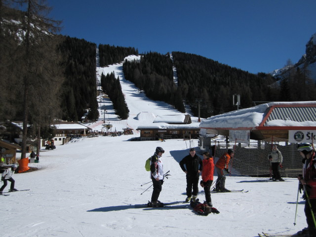 Piani di Pezzè, 1.470 m (20. März)