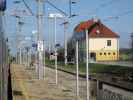 Bahnhof Enzersdorf bei Staatz, 238 m