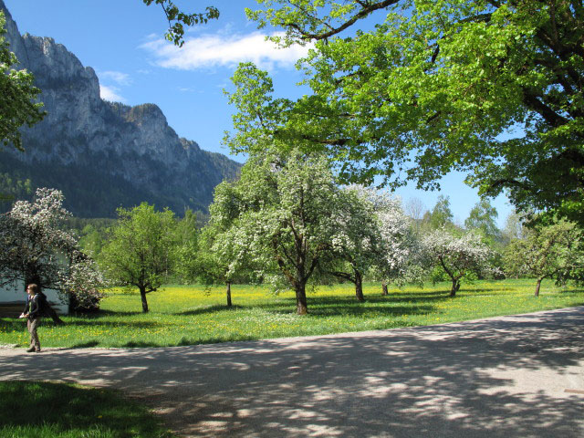 St. Lorenz, 486 m