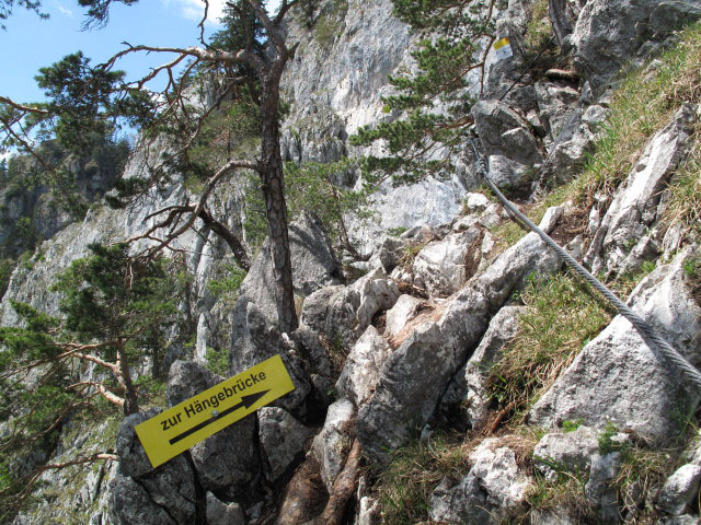 Drachenwand-Klettersteig: Abzweigung zur Hängebrücke