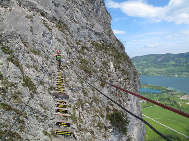 Drachenwand-Klettersteig: Carmen auf der Hängebrücke