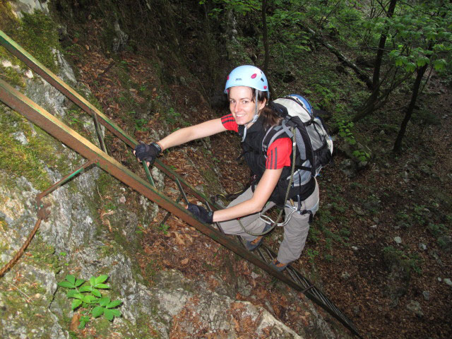 Waldegger Steig: Katarina auf der sechsten Leiter