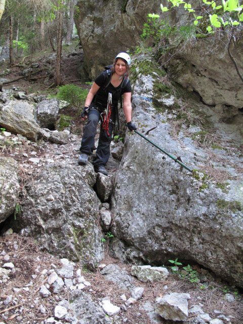 Waldegger Steig: Doris zwischen dritter und zweiter Leiter