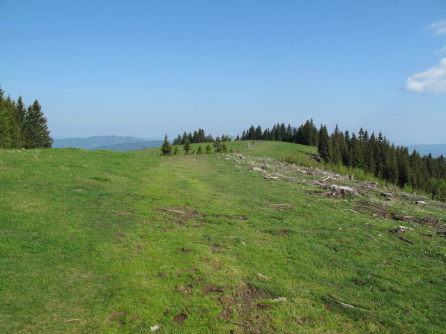 zwischen Sommeralm und Kulmkogel