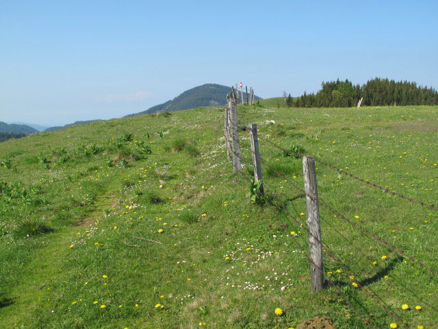 zwischen Sommeralm und Kulmkogel