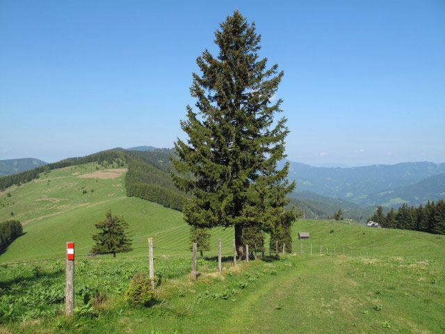 zwischen Mooskogel und Nestlbodnerkogel