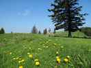 zwischen Sommeralm und Kulmkogel