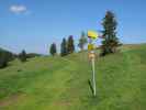 zwischen Sommeralm und Kulmkogel