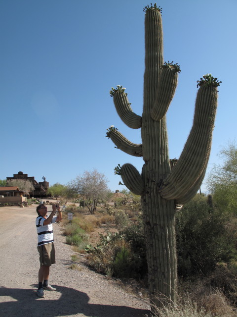 Papa in Goldfield Ghost Town (24. Mai)