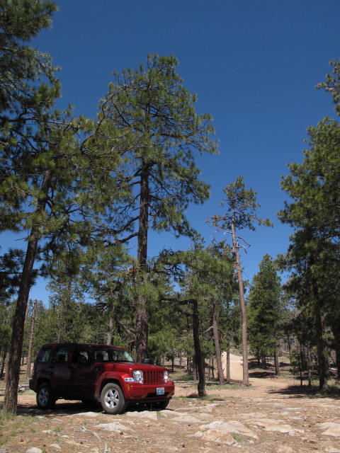 Hi-View Point am Mogollon Jeep Trail (25. Mai)