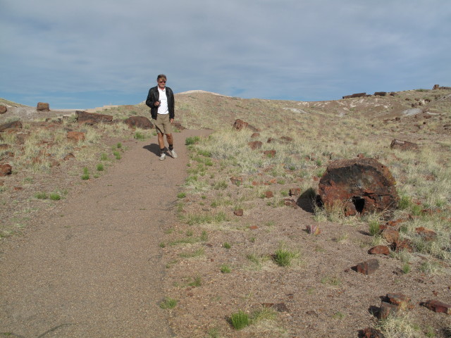 Papa bei den Giant Logs im Petrified Forest National Park (26. Mai)