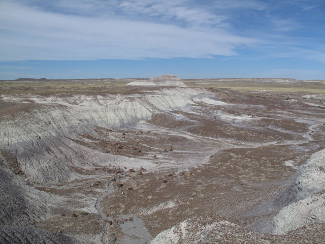 Crystal Forest im Petrified Forest National Park (26. Mai)