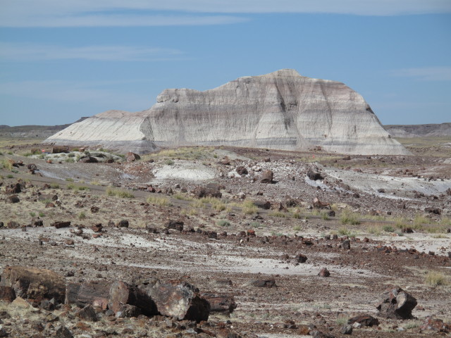 Crystal Forest im Petrified Forest National Park (26. Mai)