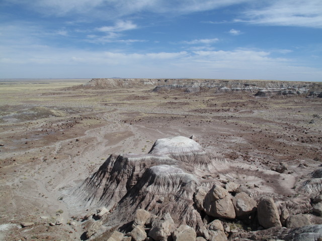 Jasper Forest im Petrified Forest National Park (26. Mai)