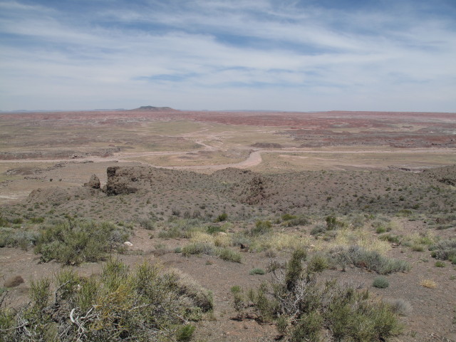 Pintado Point im Petrified Forest National Park (26. Mai)