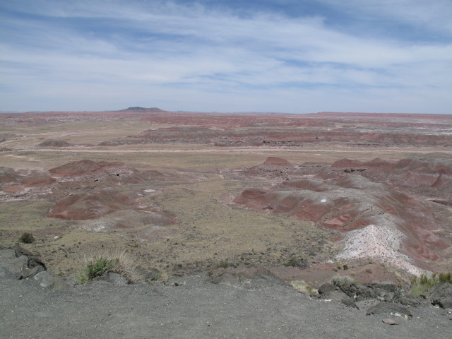 Chinde Point im Petrified Forest National Park (26. Mai)