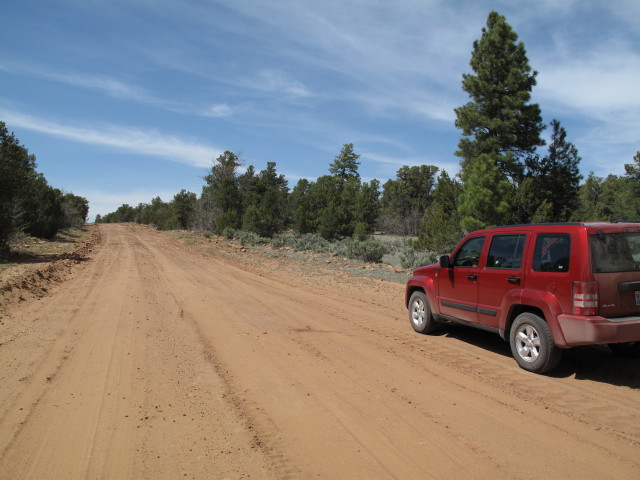 Defiance Plateau Jeeptrail (26. Mai)