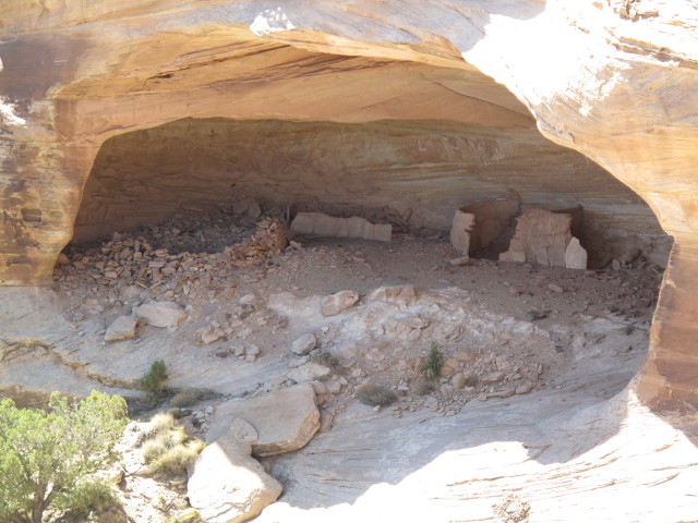 Yucca Cave Ruin vom Massacre Cave Overlook im Canyon de Chelly National Monument aus (27. Mai)