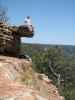 Ich am Mogollon Rim (25. Mai)