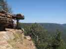 Papa am Mogollon Rim (25. Mai)