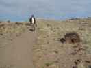 Papa bei den Giant Logs im Petrified Forest National Park (26. Mai)