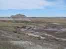 Crystal Forest im Petrified Forest National Park (26. Mai)