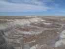 Crystal Forest im Petrified Forest National Park (26. Mai)