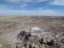 Jasper Forest im Petrified Forest National Park (26. Mai)