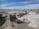 Agate Bridge im Petrified Forest National Park (26. Mai)