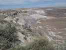 Blue Mesa im Petrified Forest National Park (26. Mai)