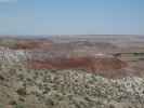 Whipple Point im Petrified Forest National Park (26. Mai)