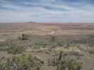 Pintado Point im Petrified Forest National Park (26. Mai)