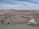 Chinde Point im Petrified Forest National Park (26. Mai)