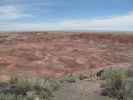 Tawa Point im Petrified Forest National Park (26. Mai)