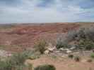 Tiponi Point im Petrified Forest National Park (26. Mai)