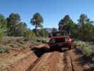 Sawmill Navajo Jeeptrail zwischen Red Valley Jeeptrail und County Road 445 (27. Mai)