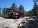 Papa am Sawmill Navajo Jeeptrail zwischen Red Valley Jeeptrail und County Road 445 (27. Mai)