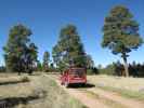 Sawmill Navajo Jeeptrail zwischen Red Valley Jeeptrail und County Road 445 (27. Mai)