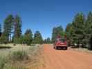 Sawmill Navajo Jeeptrail zwischen Red Valley Jeeptrail und County Road 445 (27. Mai)