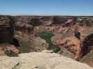 Canyon de Chelly vom Spider Rock Overlook im Canyon de Chelly National Monument aus (27. Mai)